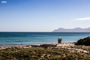 Mallorca-Spain-Beach-Playa-Spain-Dunes-1024x682