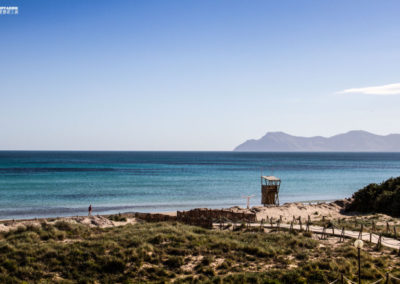 Mallorca-Spain-Beach-Playa-Spain-Dunes-1024x682